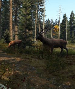 DayZ - PC Key Code Steam Game Global